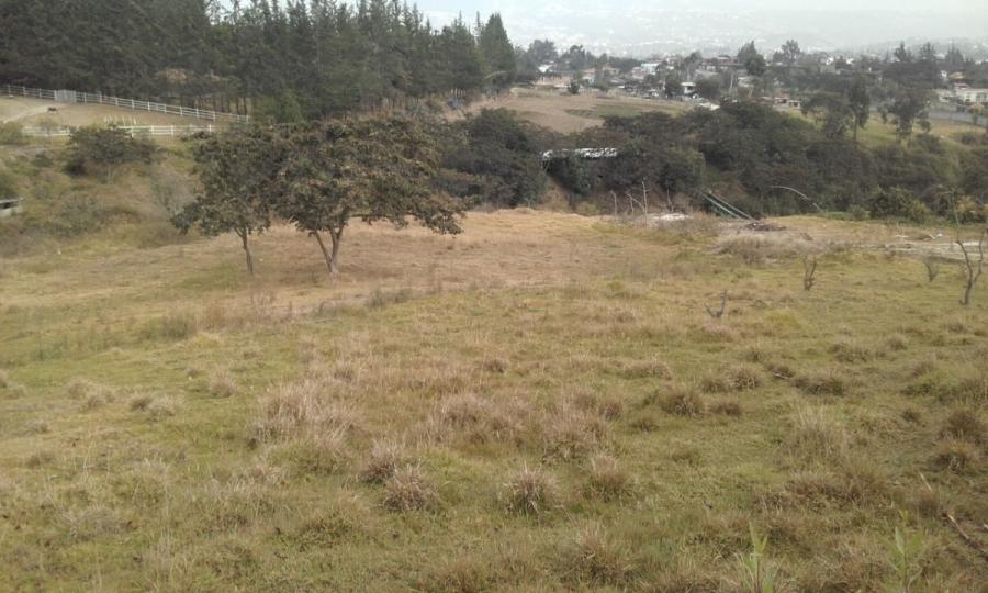 Foto Terreno en Arriendo en Tumbaco, la morita, Pichincha - U$D 400 - TEA34190 - BienesOnLine