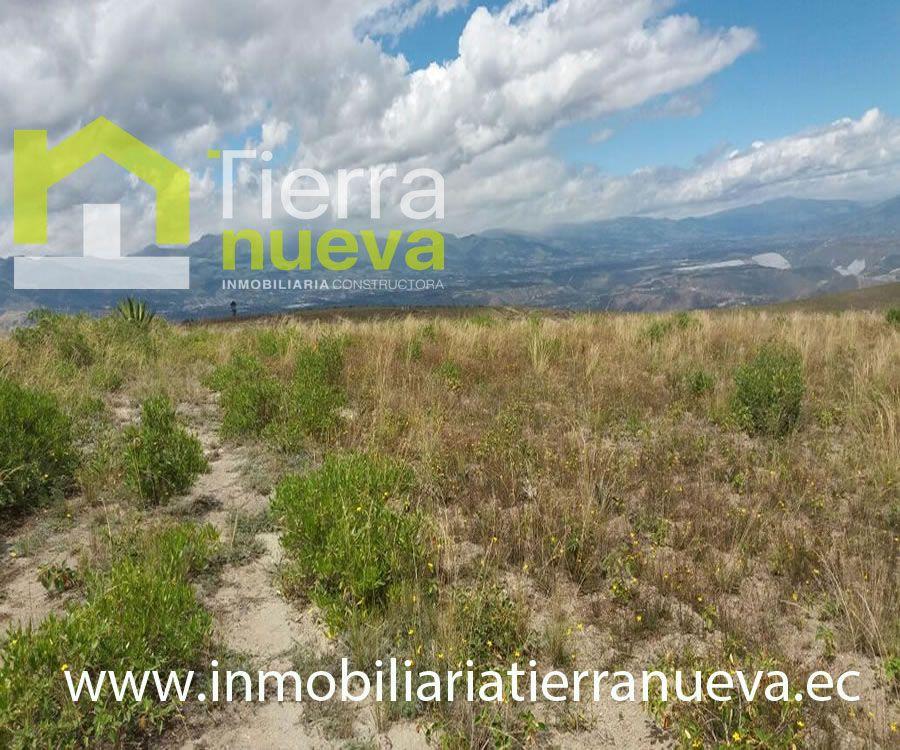 Foto Terreno en Venta en TABACUNDO, Cayambe, Pichincha - 3 hectareas - U$D 300.000 - TEV30440 - BienesOnLine