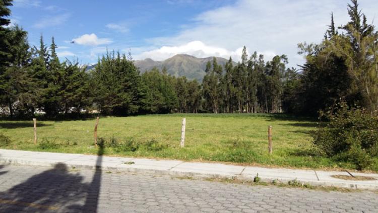 Foto Terreno en Venta en Cotacachi, Imbabura - U$D 180.000 - TEV24550 - BienesOnLine