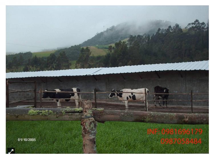 Foto Hacienda en Venta en Otavalo, Imbabura - U$D 430.000 - HAV20842 - BienesOnLine