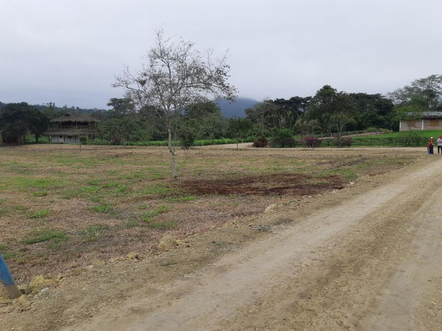 Foto Terreno en Venta en Olon, Santa Elena, Santa Elena - U$D 40.000 - TEV33146 - BienesOnLine