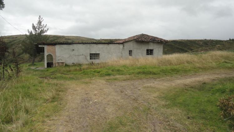 Foto Hacienda en Venta en Bolvar, Carchi - 80 hectareas - U$D 750.000 - HAV25712 - BienesOnLine