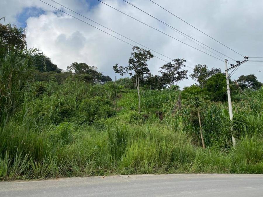 Foto Terreno en Venta en Pacto, Quito, Pichincha - U$D 18.000 - TEV34282 - BienesOnLine