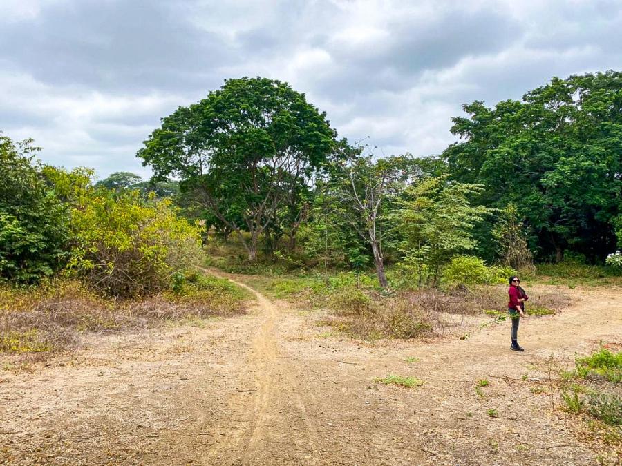 Foto Terreno en Venta en Chongon, Guayaquil, Guayas - 10 hectareas - U$D 1.100.000 - TEV38564 - BienesOnLine