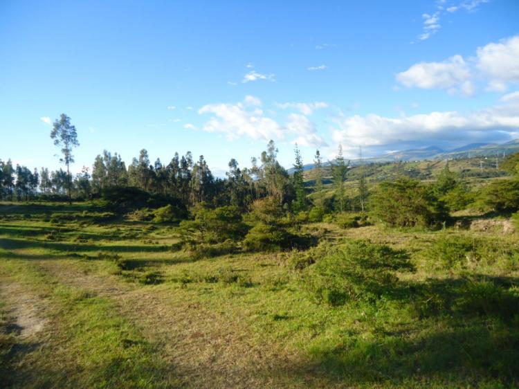 Foto Terreno en Venta en pintag, Quito, Pichincha - 50 hectareas - U$D 1.300.000 - TEV22823 - BienesOnLine