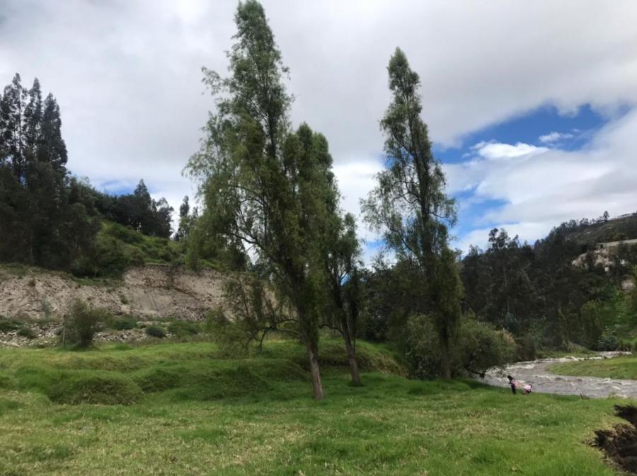 Foto Terreno en Venta en LA PENINSULA, Ambato, Tungurahua - U$D 100.000 - TEV32458 - BienesOnLine