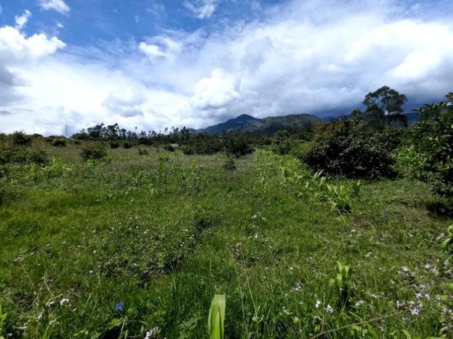 Foto Terreno en Venta en Urcuqu, Imbabura - 1 hectareas - U$D 70.000 - TEV36261 - BienesOnLine