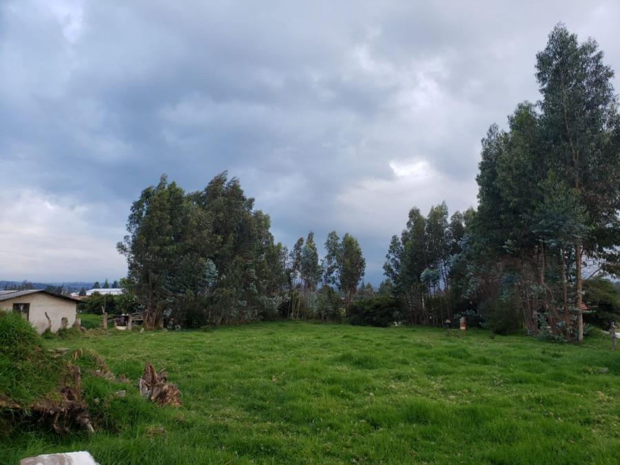 Foto Terreno en Arriendo en Sangolqui, Quito, Pichincha - U$D 1.200 - TEA36572 - BienesOnLine