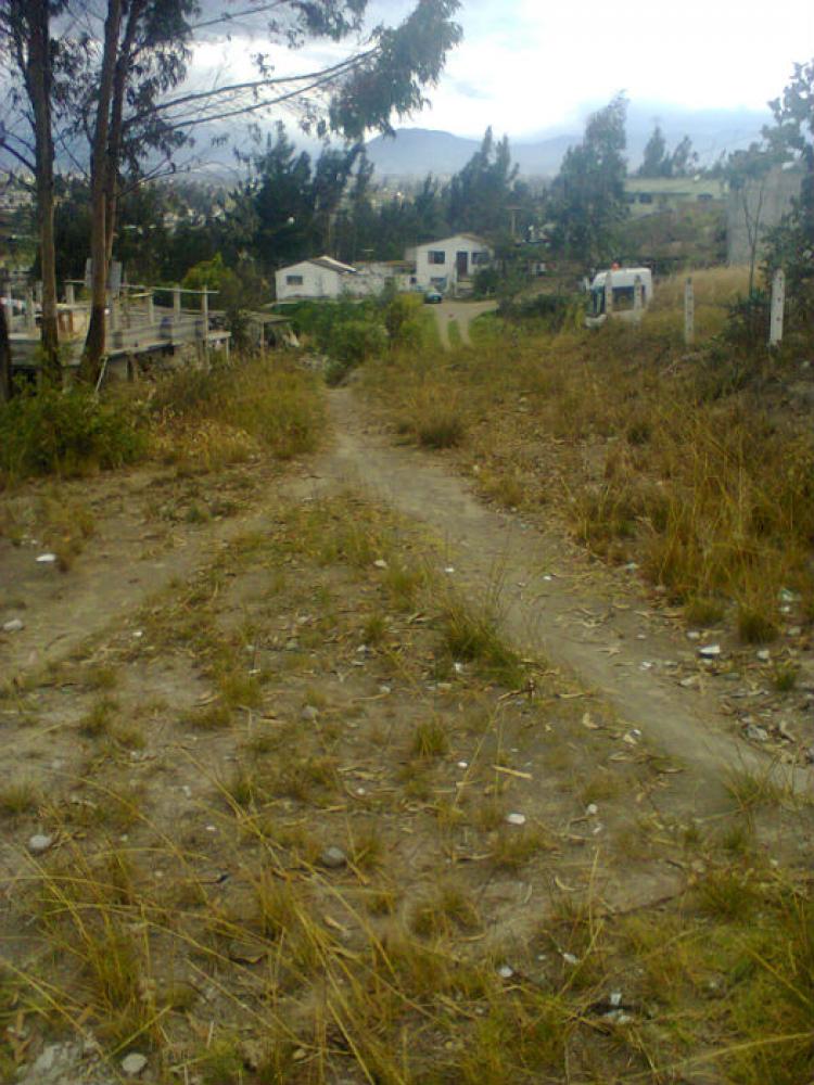 Foto Terreno en Venta en Picaihua, Ambato, Tungurahua - U$D 22.000 - TEV15023 - BienesOnLine