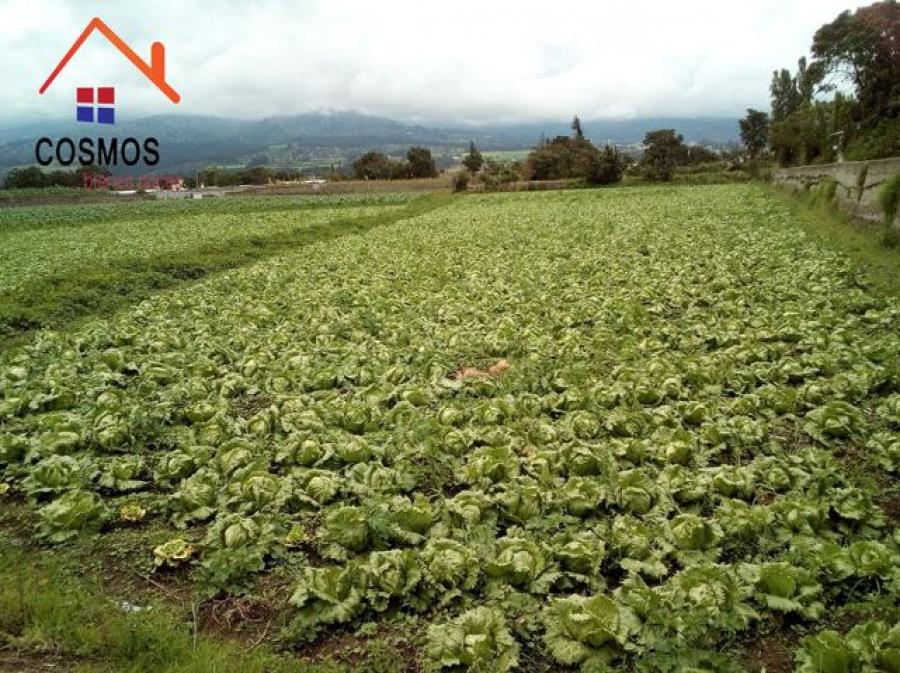 Foto Terreno en Venta en Antonio Ante, Imbabura - U$D 350.000 - TEV30304 - BienesOnLine