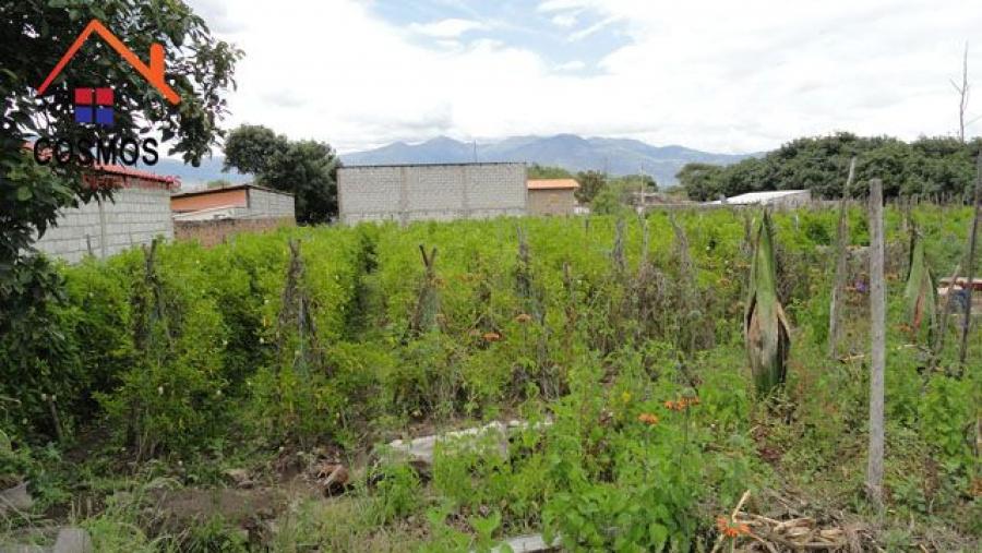 Foto Terreno en Venta en Antonio Ante, Imbabura - U$D 42.000 - TEV35077 - BienesOnLine