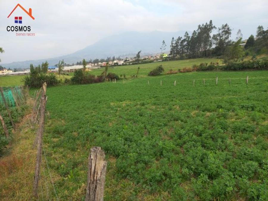 Foto Terreno en Venta en Cotacachi, Imbabura - U$D 68.000 - TEV35121 - BienesOnLine