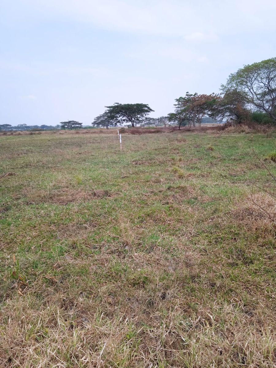 Foto Terreno en Venta en Buijo, Samborondn, Guayas - U$D 87.750 - TEV37892 - BienesOnLine