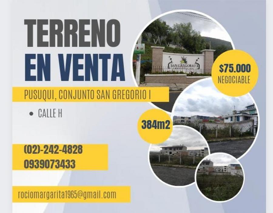 Foto Terreno en Venta en Pusuqui, Quito, Pichincha - U$D 75.000 - TEV37545 - BienesOnLine