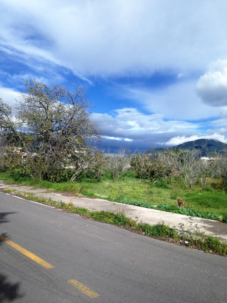 Foto Terreno en Venta en MONTALVO, Ambato, Tungurahua - U$D 50 - TEV26579 - BienesOnLine