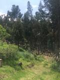 Terreno en Venta en  Cuenca