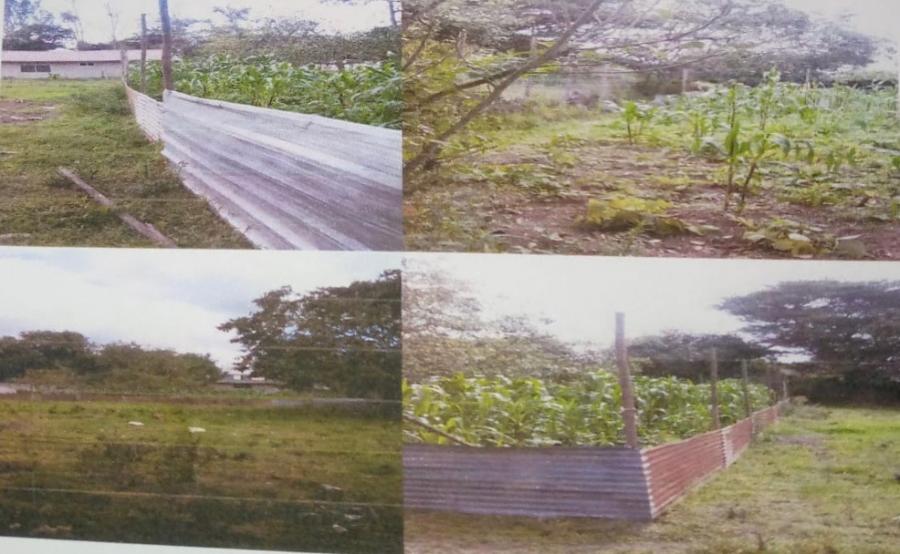 Foto Terreno en Venta en Tumbaco, Quito, Pichincha - TEV36977 - BienesOnLine