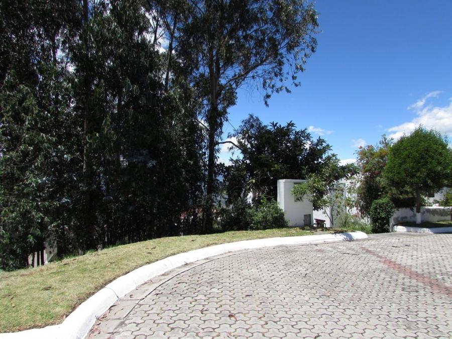 Foto Terreno en Venta en Nayn, Quito, Pichincha - U$D 300.000 - TEV30369 - BienesOnLine