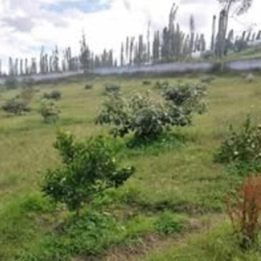 Foto Terreno en Venta en ATUNTAQUI, Antonio Ante, Imbabura - TEV41172 - BienesOnLine