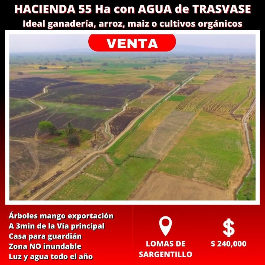 Foto Terreno en Venta en Lomas de Sargentillo, Guayas - 55 hectareas - U$D 4.350 - TEV37376 - BienesOnLine