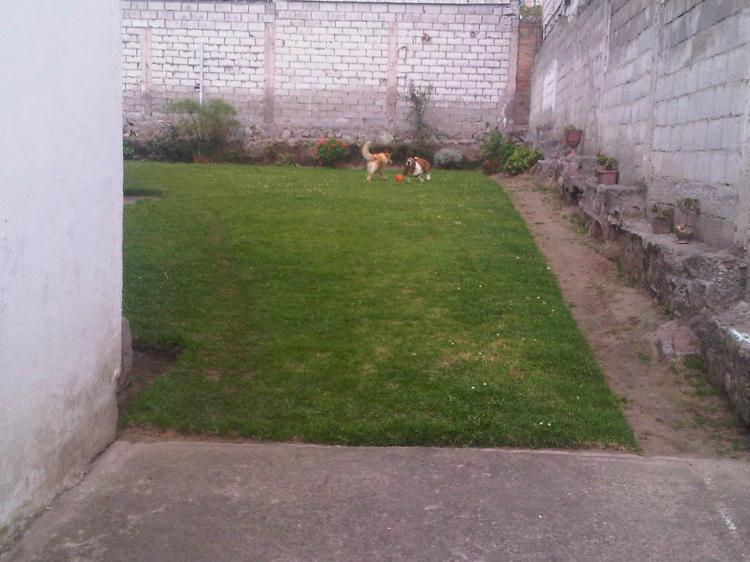 Foto Terreno en Venta en Solca, Quito, Pichincha - U$D 350.000 - TEV6745 - BienesOnLine