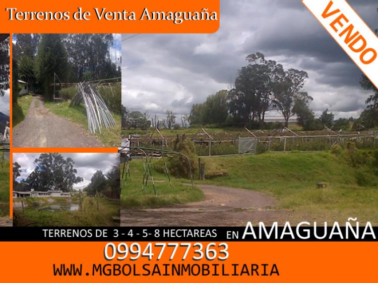Foto Terreno en Venta en AMAGUAA, Quito, Pichincha - 4 hectareas - U$D 99 - TEV11466 - BienesOnLine