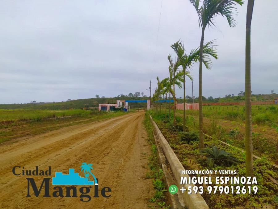 Foto Terreno en Venta en MONTECRISTI, Montecristi, Manabi - 15 hectareas - U$D 16.000 - TEV35764 - BienesOnLine