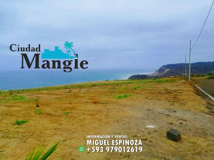Foto Terreno en Venta en MONTECRISTI, Montecristi, Manabi - 15 hectareas - U$D 16.000 - TEV35475 - BienesOnLine