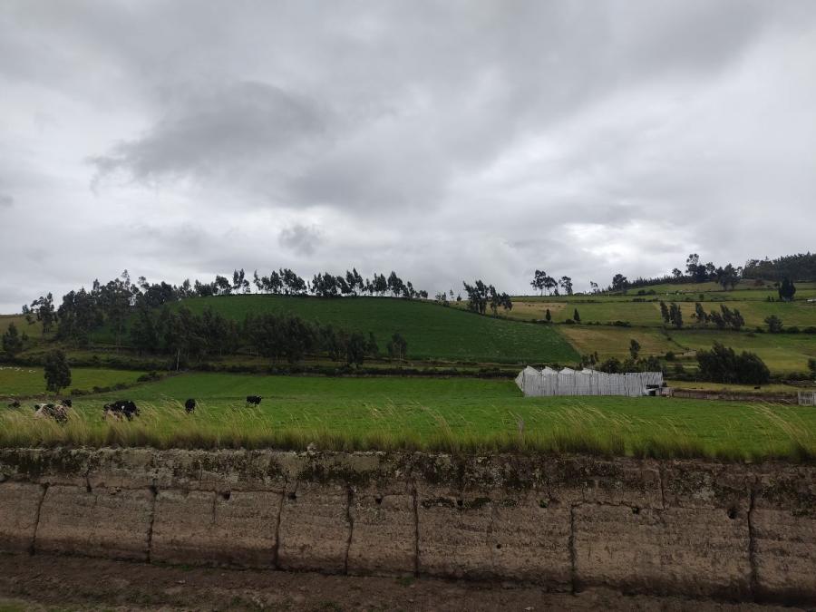 Foto Terreno en Venta en Olmedo, Cayambe, Pichincha - 3 hectareas - U$D 200.000 - TEV32258 - BienesOnLine