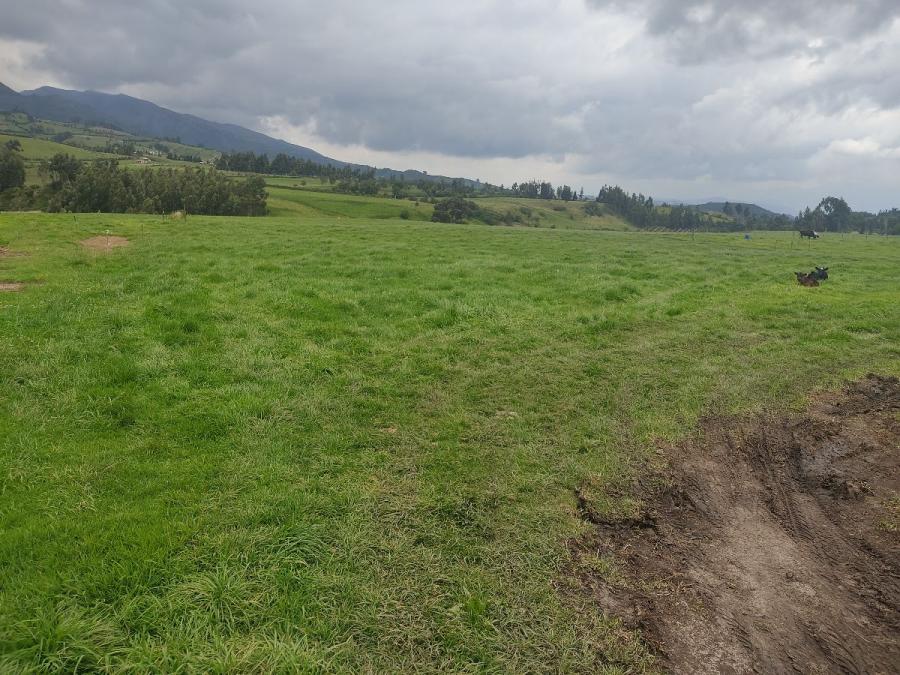 Foto Terreno en Venta en Moyurco, Cayambe, Pichincha - U$D 80.000 - TEV32190 - BienesOnLine