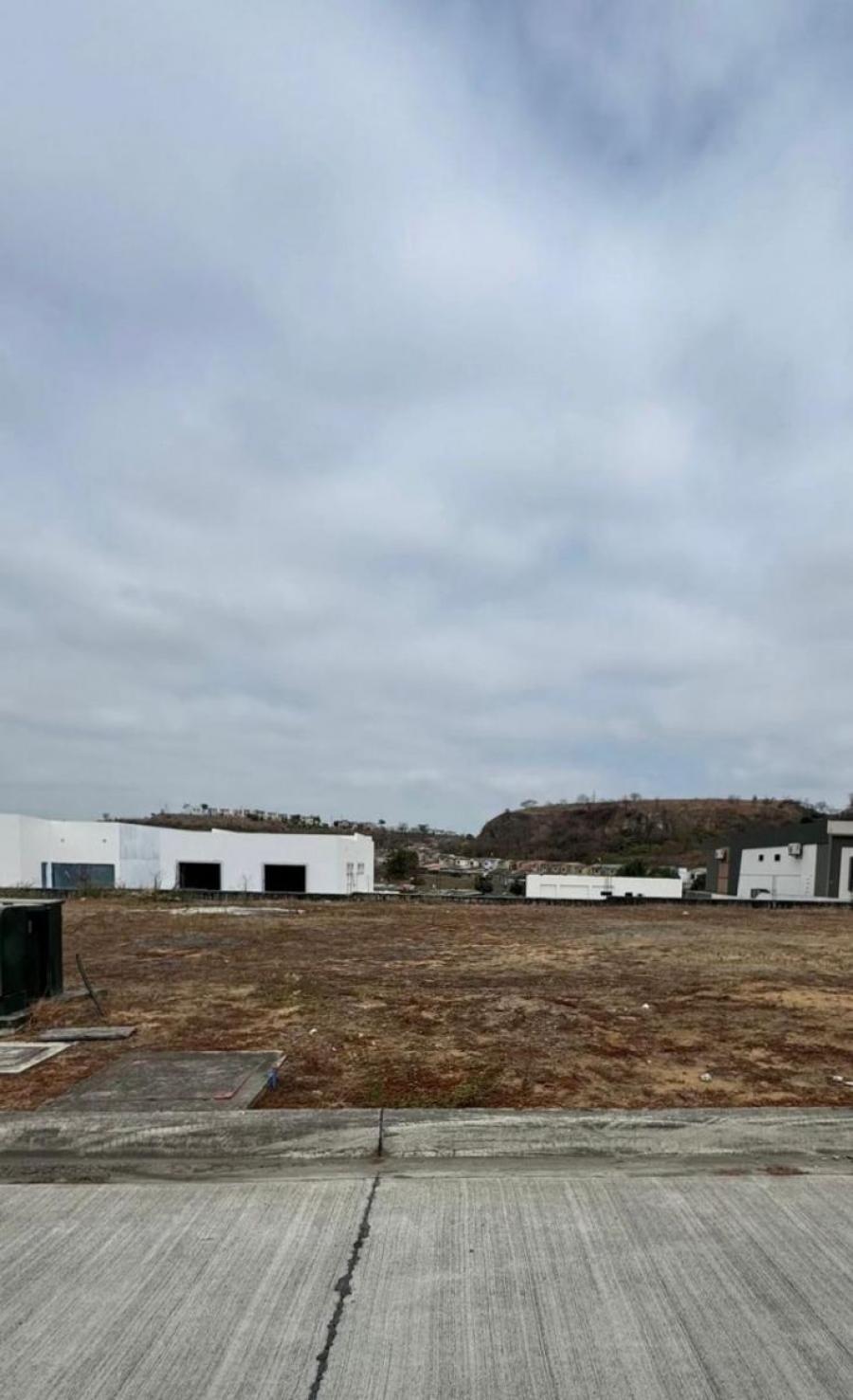 Foto Terreno en Venta en Daule, Guayas - U$D 110.000 - TEV40653 - BienesOnLine