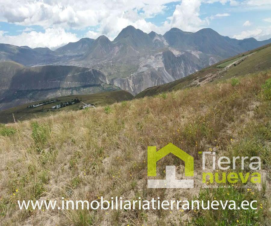 Foto Terreno en Venta en TABACUNDO, TABACUNDO, SECTOR TOMALON, Pichincha - 1 hectareas - TEV30441 - BienesOnLine