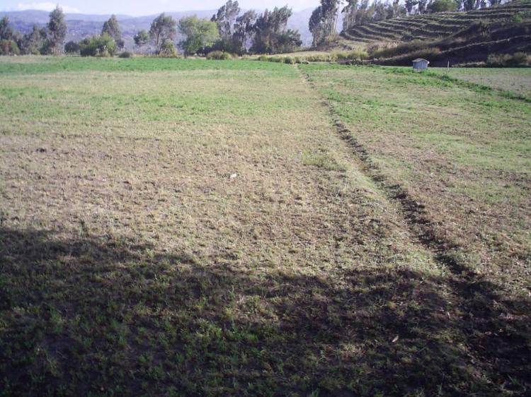 Foto Terreno en Venta en Cantn mocha, Mocha, Tungurahua - U$D 65.000 - TEV15754 - BienesOnLine