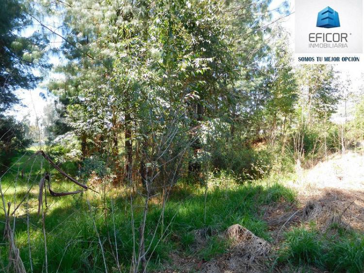 Foto Terreno en Venta en SANGOLQUI, Rumiahui, Pichincha - U$D 73.000 - TEV24221 - BienesOnLine