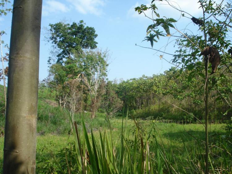 Foto Hacienda en Venta en GUAYAS, El Empalme, Guayas - U$D 120.000 - HAV19812 - BienesOnLine