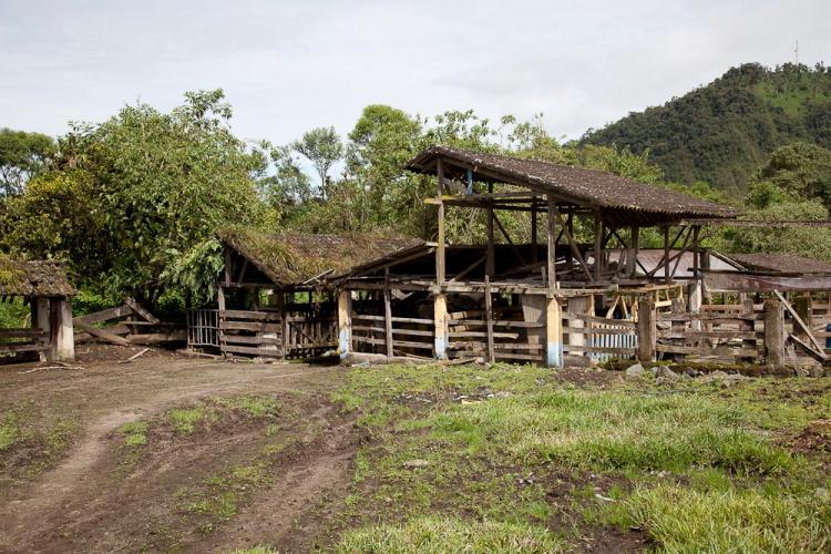 Foto Hacienda en Venta en la esperanza, Mejia, Pichincha - 183 hectareas - U$D 360.000 - HAV12568 - BienesOnLine