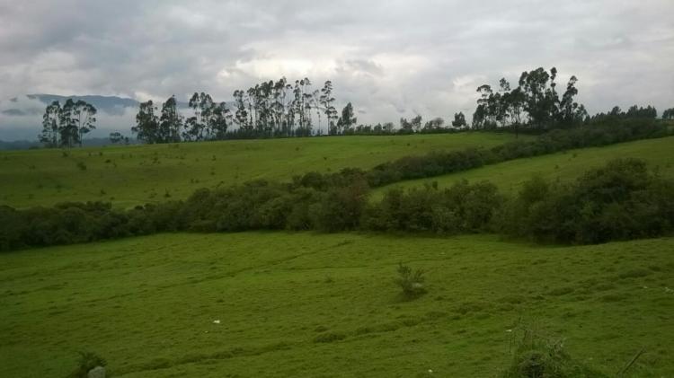 Foto Terreno en Venta en Sangolqui, Cashapamba, Pichincha - 25 hectareas - TEV26979 - BienesOnLine