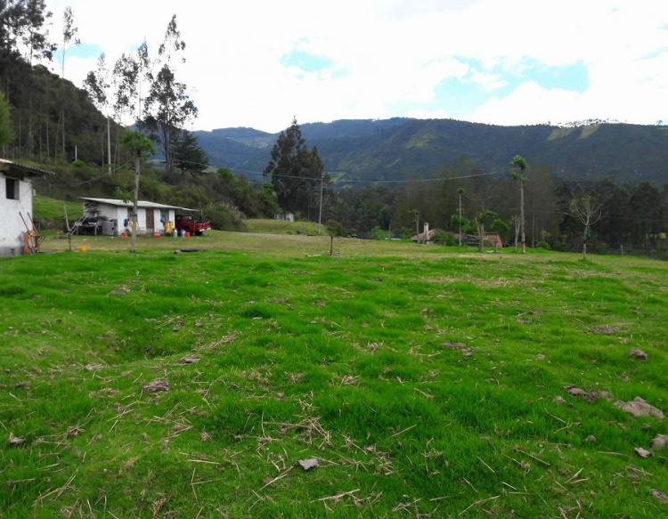 Foto Terreno en Venta en Otavalo, Imbabura - 4 hectareas - U$D 120.000 - TEV24457 - BienesOnLine