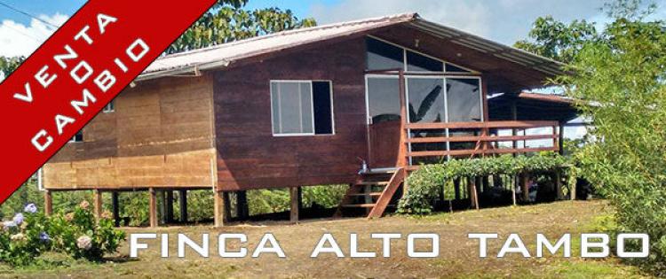 Foto Finca en Venta en ALTO TAMBO, San Lorenzo, Esmeraldas - 50 hectareas - U$D 119.999 - FIV23665 - BienesOnLine