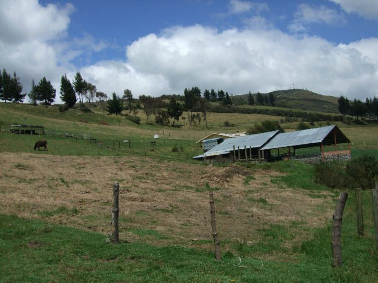 Foto Hacienda en Venta en Quito, Pichincha - HAV24025 - BienesOnLine