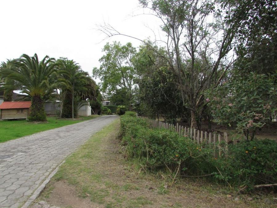 Foto Terreno en Venta en Cumbay, Quito, Pichincha - U$D 638.750 - TEV30179 - BienesOnLine