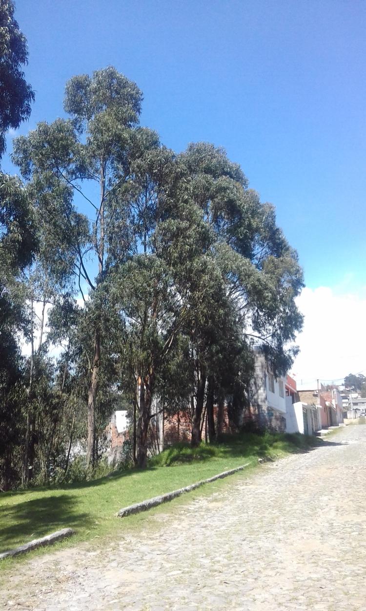Foto Terreno en Venta en Conocoto, Quito, Pichincha - U$D 49.500 - TEV27220 - BienesOnLine