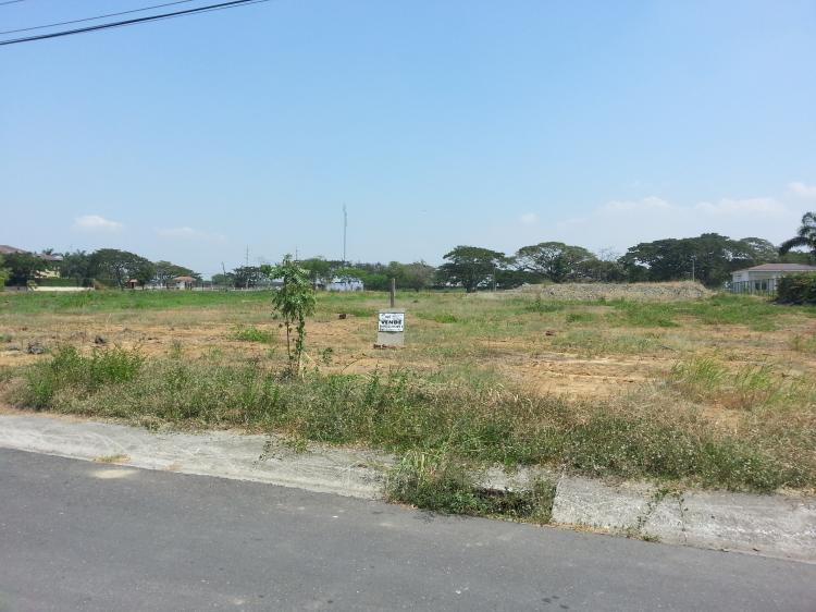 Foto Terreno en Venta en La Puntilla, Samborondn, Guayas - U$D 380.000 - TEV15573 - BienesOnLine