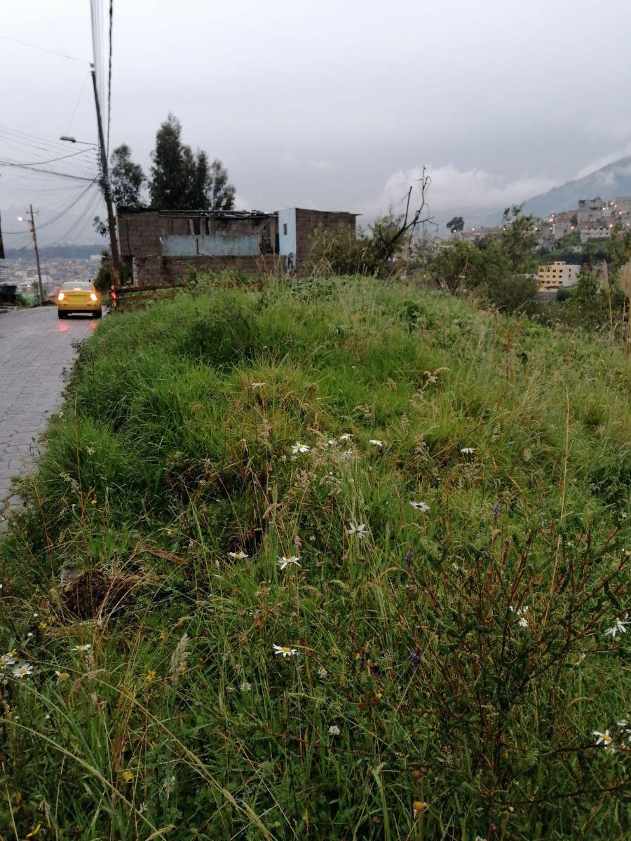 Foto Terreno en Venta en Quito, Pichincha - U$D 17.500 - TEV38541 - BienesOnLine