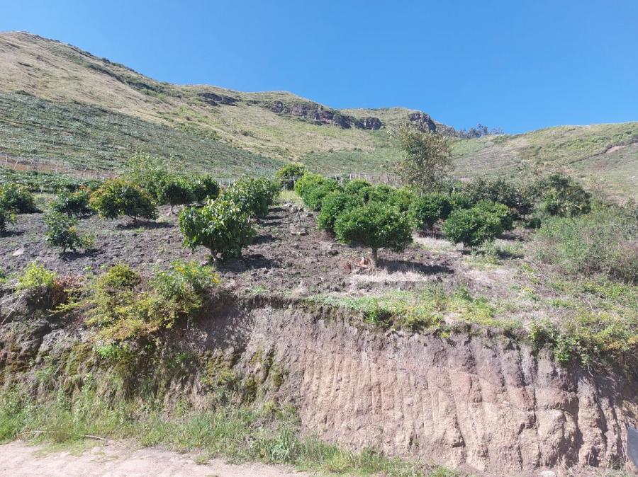 Foto Terreno en Venta en Monte Olivo, El Motilòn, Carchi - 5 hectareas - U$D 35.000 - TEV35726 - BienesOnLine