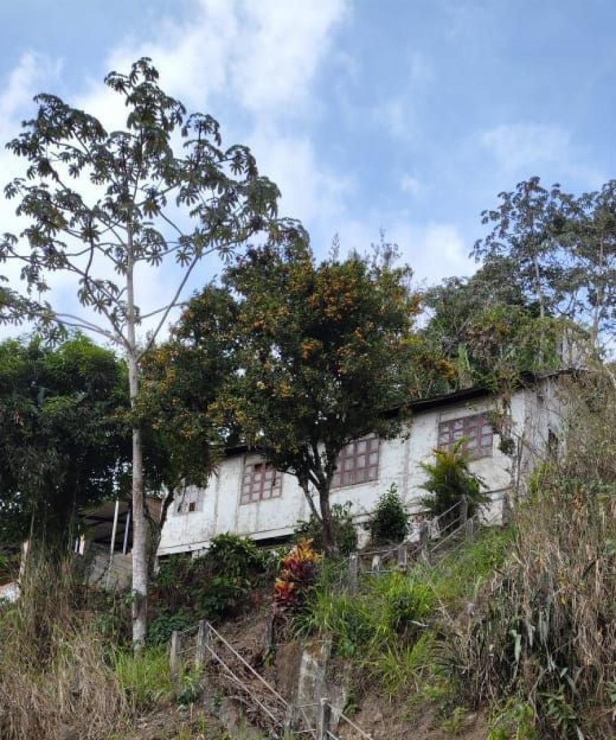 Foto Terreno en Venta en Zaruma, El Oro - U$D 72.000 - TEV38482 - BienesOnLine