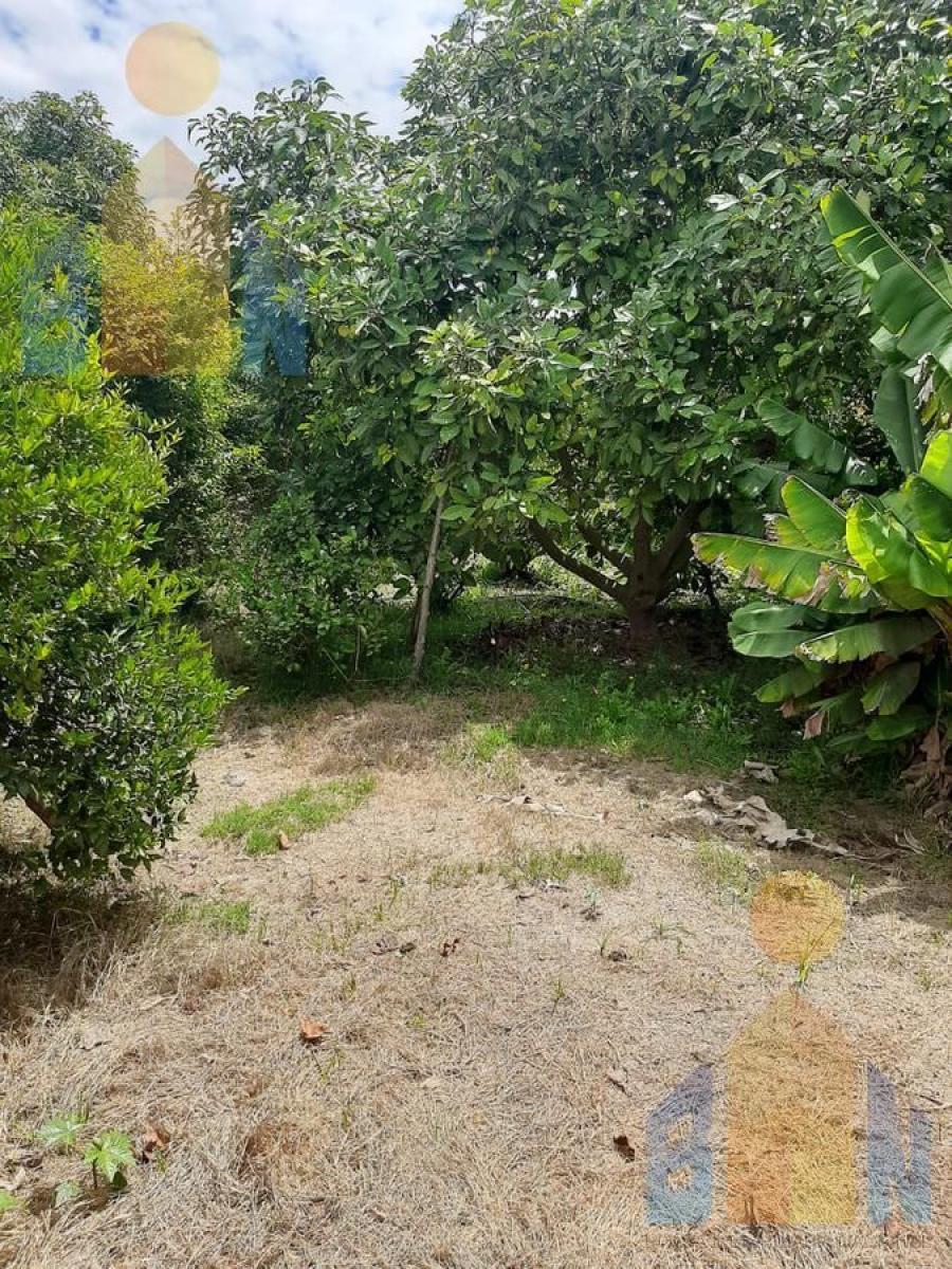 Foto Terreno en Venta en Guayllabamba, Quito, Pichincha - 1 hectareas - U$D 100 - TEV34071 - BienesOnLine