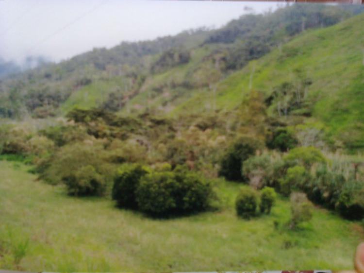 Foto Finca en Venta en Zamora, Zamora Chinchipe - 35 hectareas - U$D 80.000 - FIV15489 - BienesOnLine