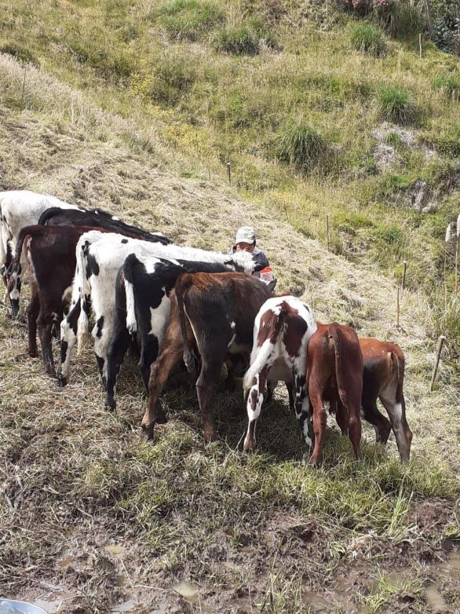 Foto Terreno en Venta en Yuquín Alto, Imbabura - 7 hectareas - U$D 50.000 - TEV38751 - BienesOnLine