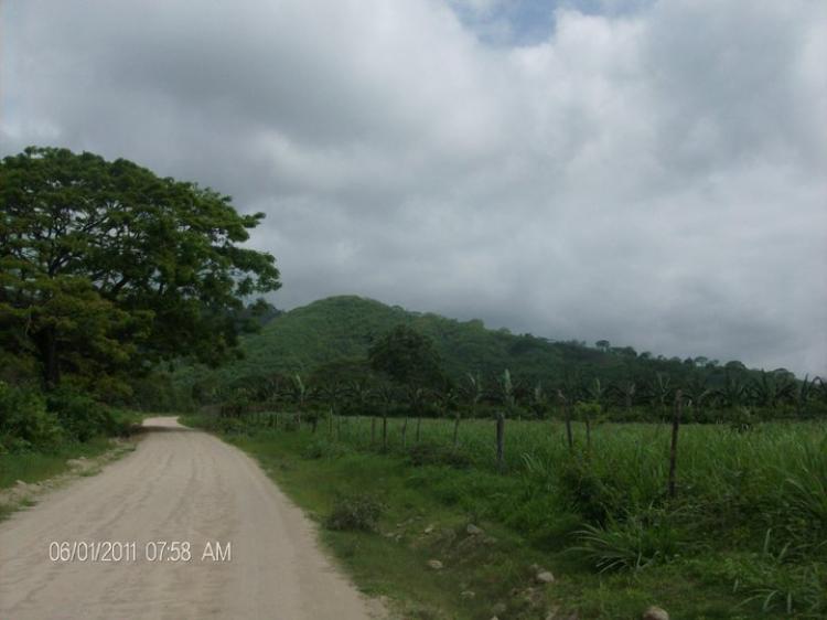 Foto Terreno en Venta en San Vicente, Manabi - 18 hectareas - U$D 400.000 - TEV10175 - BienesOnLine
